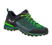 Salewa Mtn Trainer Lite Goretex Hiking Shoes Vihreä EU 43 Mies