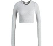 Jack & Jones Feline Rib Long Sleeve T-shirt Jjxx Harmaa S Nainen