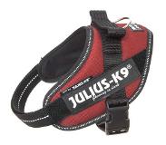 JULIUS K-9 Idc Power Harness Punainen M-0