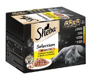 Sheba Sheba-rasialajitelma säästöpakkauksessa 144 x 85 g - Selection in Sauce