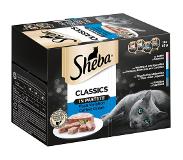 Sheba Sheba-rasialajitelma säästöpakkauksessa 48 x 85 g - Classics Paté