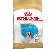 Royal Canin French Bulldog Puppy - 10 kg