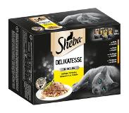 Sheba Selection Pouches -säästöpakkaus 48 x 85 g - Delicacies in Jelly, siipikarjalajitelma