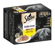 Sheba Sheba-annospussilajitelma säästöpakkauksessa 144 x 85 g - Selection in Sauce, siipikarjalajitelma