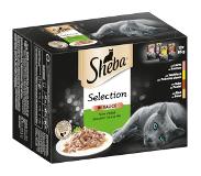 Sheba Selection Pouches -säästöpakkaus 48 x 85 g - Selection in Sauce, valikoidut reseptit