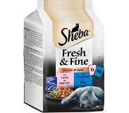 Sheba Fresh & Fine -säästöpakkaus 72 x 50 g - kalalajitelma kastikkeessa