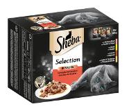 Sheba Sheba-annospussilajitelma säästöpakkauksessa 144 x 85 g - Selection in Sauce, keittiömestarin duo