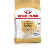 Royal Canin Labrador Retriever Adult 5+ -koiranruoka, 12 kg