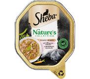 Sheba Nature´s Collection in Sauce -säästöpakkaus 44 x 85 g - lohi