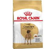 Royal Canin Great Dane Adult -koiranruoka, 12 kg