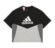 Adidas Colorblock Short Sleeve T-shirt Musta 7-8 Years Tyttö