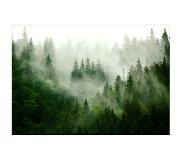 Artgeist Mountain Forest (Green) fototapetti