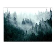 Artgeist Mountain Forest (Dark Green) fototapetti