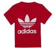 Adidas Trefoil Short Sleeve T-shirt Punainen 12-24 Months Poika