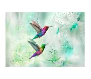Artgeist Colourful Hummingbirds (Green) fototapetti