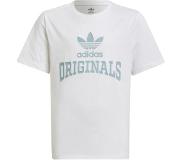 Adidas Graphic Short Sleeve T-shirt Valkoinen 14-15 Years Poika