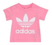 Adidas Trefoil Short Sleeve T-shirt Pinkki 0-3 Months Poika