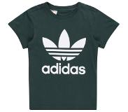 Adidas Adicolor Trefoil Short Sleeve T-shirt Vihreä 4-5 Years Poika