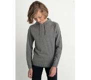 Petrol Industries B-3020-kwh255 Hoodie Sweater Harmaa 13-14 Years