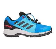 Adidas Terrex Goretex Hiking Shoes Kid Sininen EU 34