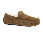 Ugg Ascot Slippers Ruskea EU 42 Mies