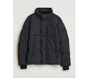 Canada Goose Black Label Everett Puffer Black