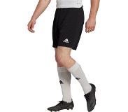 Adidas Entrada 22 Shorts Musta L Mies