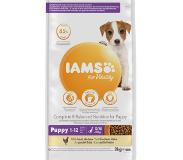 IAMS Dog Puppy Small & Medium 3 kg koiran kuivaruoka