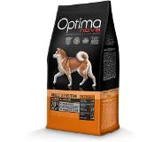 Optima Optimanova dog sensitive salmon & potato grain free 12 kg koiran kuivaruoka