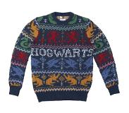Cerda Group Harry Potter Sweater Sininen L Mies