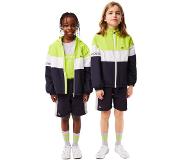 Lacoste Bj5285 Jacket Vihreä,Sininen 16 Years Tyttö
