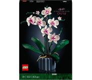 LEGO 10311 Icons - Orkidea