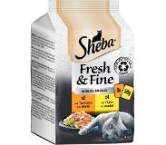 Sheba Fresh & Fine -säästöpakkaus 72 x 50 g - kalkkuna & kana hyytelössä