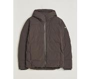 Scandinavian Edition Torrent Hooded Puffer Jacket After Dark