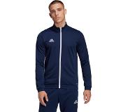 Adidas ENT22 Training Jacket, miesten treenitakki