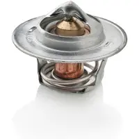 VETUS M4.15/17 77° Termostaatti