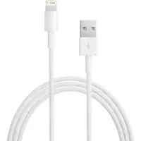 Apple Lightning to USB Cable 2m