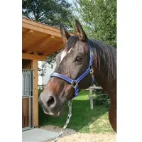 Foga Halter Mustang Full Black/Silver