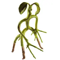 Noble Collection Fantastic Beasts Taivutettava Figuuri Bowtruckle 18 cm
