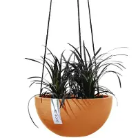 Ecopot's Brysseli ripustettava ruukku