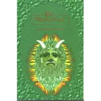 Book The Witches'God