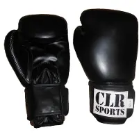 CLR Sports Pro nyrkkeilyhanskat