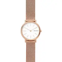 Skagen Signatur Slim SKW2694