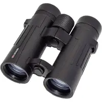 Braun Compagno 8x42 Wp Kiikarit