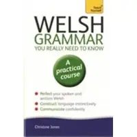 Welsh Grammar You Really Need to Know: Teach Yourself