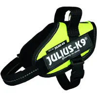 Julius-K9 Idc Mini Koiran Valjaat