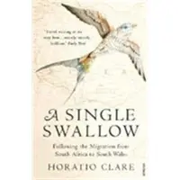 A Single Swallow