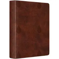 Book ESV Single Column Journaling Bible