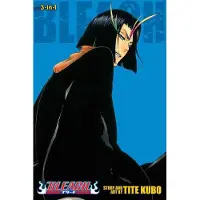 BOKUS Bleach (3-in-1 Edition), Vol. 13