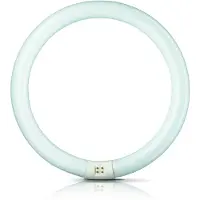 Philips MASTER TL - E 40W - 840 Kylmä Valkoinen | 40cm
